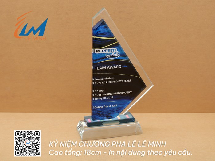 Những mẫu kỷ niệm chương được ưa chuộng giá từ 200 - 395k